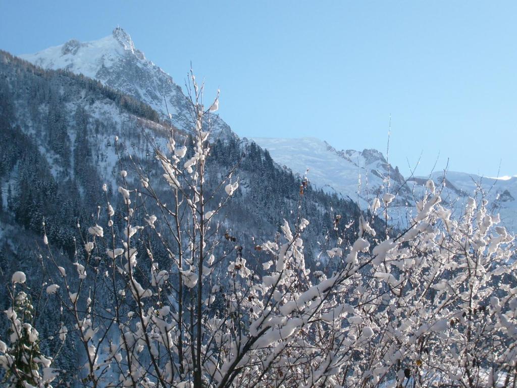 Appartement T2 Chamonix Centre Balcon Vue Mont Blanc Buitenkant foto